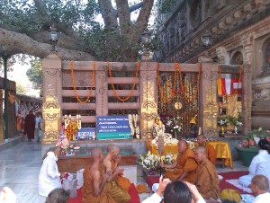 A Bódhi fa, amely alatt Budha megvilágosodott.
